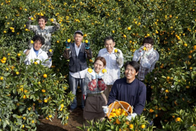 佐賀 石橋果樹園 イシバシカジュエン 佐賀県産蔵入りみかん 果物・冷凍フルーツ