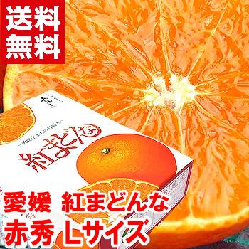 お歳暮 ギフト 愛媛県産 紅まどんな 赤秀Lサイズ 2.7kg