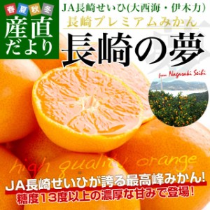 長崎県より産地直送 JA長崎せいひ プレミアムみかん 長崎の夢 約2.5キロ（24玉から30玉前後）送料無料 蜜柑 みかん