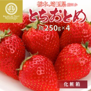 [予約 2024年2月8日-2月14日の納品] バレンタイン とちおとめ 約 250g×4 栃木県産他 果実専用箱 いちご