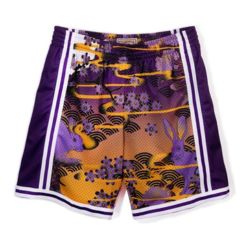 M&N G2二代 Swingman復古球褲 兔年特別款 湖人隊