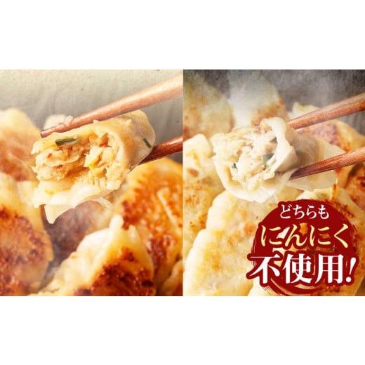 ふるさと納税 京都府 京都市 横綱の餃子はニンニク不使用！ぴり辛餃子・黒豚餃子 各5パックセット