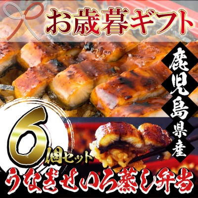 厳選!鹿児島県産うなぎのせいろ蒸し弁当6個