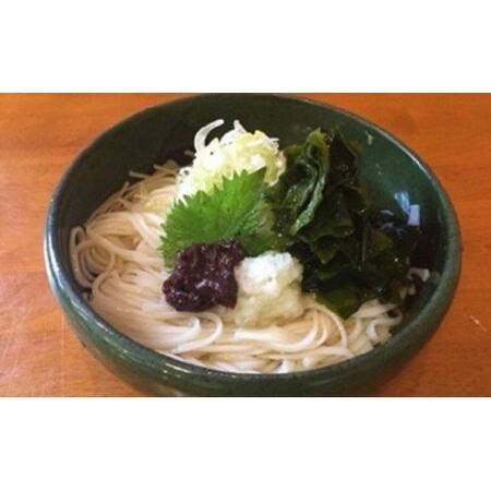 ふるさと納税 半生 氷見のうどん （細麺）２００ｇ×１２袋  ２４人前 富山県氷見市