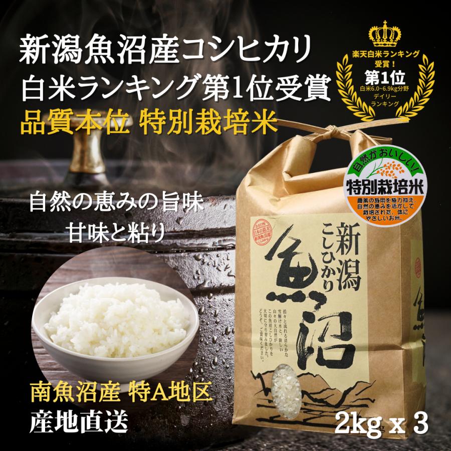 お歳暮に 魚沼産コシヒカリ 新米 令和5年 特別栽培米 お年賀   6kg    贈答品 粗品 米 挨拶品 ギフト   贈答用