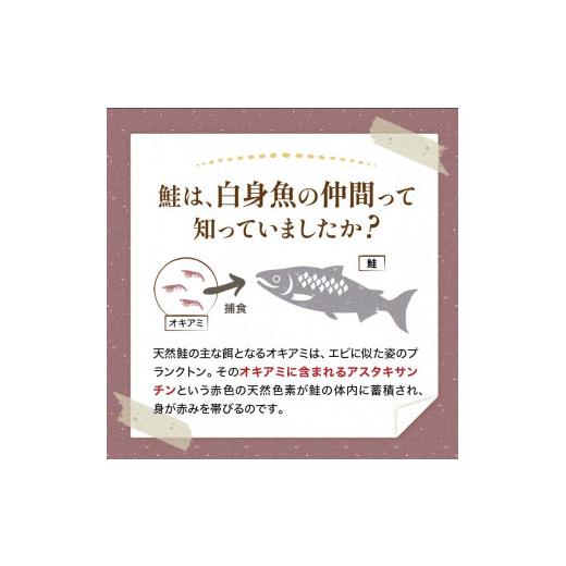 ふるさと納税 北海道 釧路市 小分け 真空保存 紅鮭 銀鮭 食べ比べ 計54切れ 紅鮭 × 3切れ ×9パック 銀鮭 × 3切れ×9パック しゃけ シャケ さけ サケ お弁当…