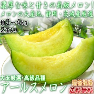 アールスメロン 約2.5～3kg 2玉入り 高知・茨城・静岡県産中心 贈答