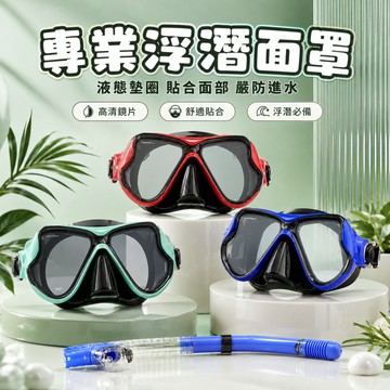 現貨🤿浮潛面鏡 蛙鏡 潛水面罩 浮潛面鏡組 潛水鏡 浮潛呼吸管 浮潛裝備 乾式面鏡 面鏡 浮潛面罩 潛水面鏡 潛水蛙鏡