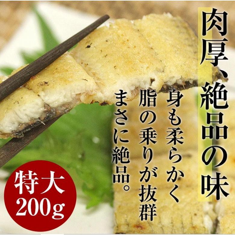 敬老の日 ウナギ うなぎ 蒲焼き 白焼きセット うなぎ蒲焼 鰻白焼き  国産 白焼き 各200ｇ １尾 合計2尾 特大 敬老の日 丑の日