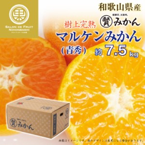 [予約 12月1日-12月20日の納品] マル賢青秀 約 7.5kg SML 樹上完熟 マルケン和歌山県 けんぽう マル賢 マルケン まるけん 上級品 冬ギフ