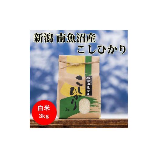 ふるさと納税 新潟県 南魚沼市 南魚沼産コシヒカリ（白米3kg×全12回）