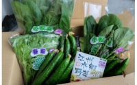 近江農家野菜詰め合わせセット２kg～４kg