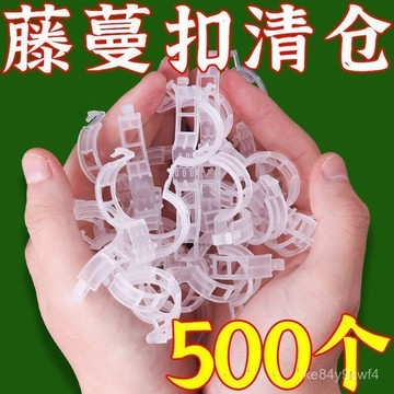 臺灣有貨⚡綠植果樹植物固定夾卡扣藤蔓固定器秧苗爬藤支撐桿果蔬苗木固定器 HJBU