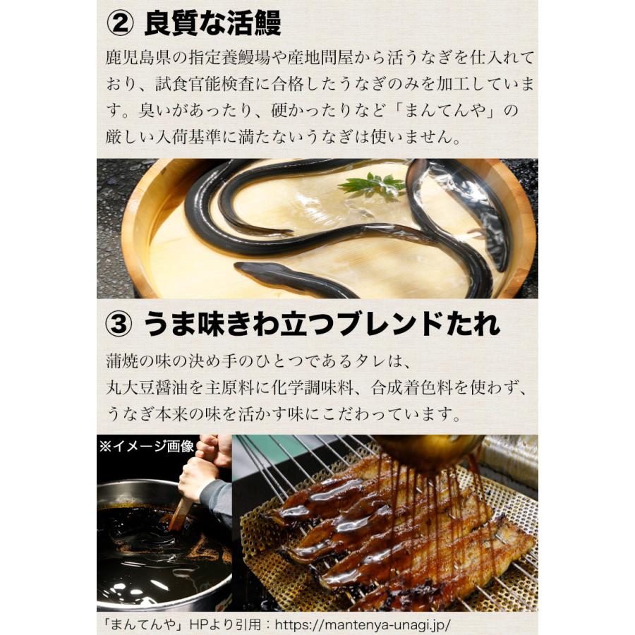 ギフト うなぎ まんてんや 国産 鹿児島 うなぎ蒲焼き 送料無料 鹿児島県産 うなぎ蒲焼き 3尾セット 600g ウナギ 母の日 父の日 ギフト 海産物