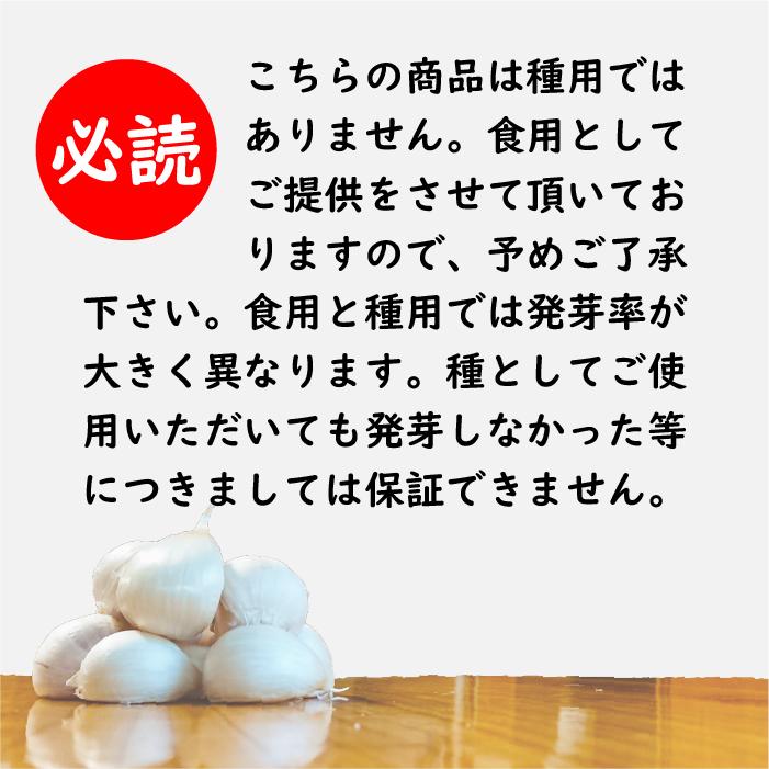 バラ にんにく 青森 500g バラ 送料無料 青森県産にんにく 500g バラニンニク 国産