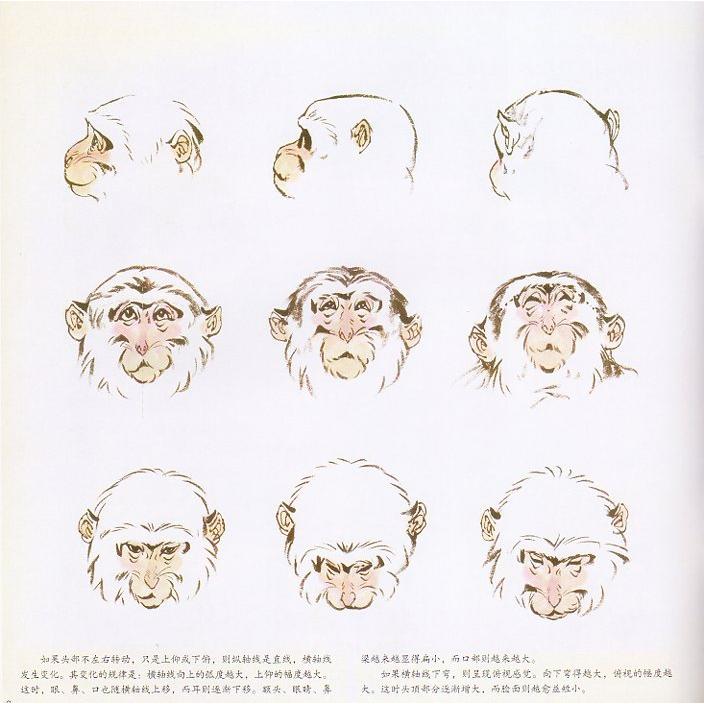 さる　猿　中国画技法　学画宝典　中国絵画 学画宝典 猴 中国画技法