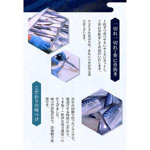 ふるさと納税 さば 塩さば 冷凍 おかず 魚 お魚 魚介 海鮮 安心 人気 大容量 小分け ごはんのお供 ふっくら やわらか 美味しい 焼き魚    骨.. 三重県紀宝町