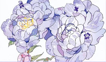 墜花邪 PET 紙膠帶 貝殼光