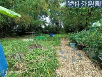 神岡區社口可建莊園豪宅超值農地+建地｜台中市神岡區新社口段