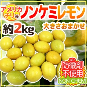 チリ・アメリカ産など ”ノンケミレモン” 大きさおまかせ 約2kg 安心の防ばい剤不使用！ノンケミカル 防黴剤（防かび剤）不使用【予約