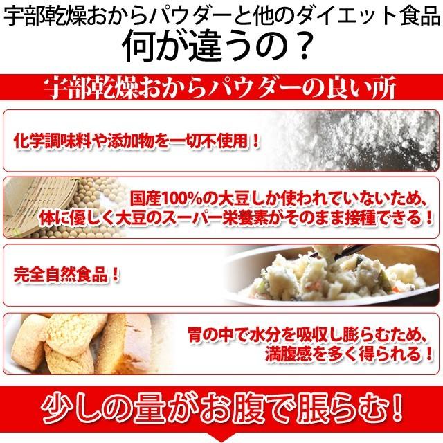 500円 セール中 あさちゃん紹介 おからパウダー 300g  おから パウダー 送料無料 超 微粉 Tポイント消化 paypay