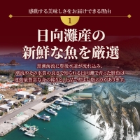 延岡産活〆鮮魚　職人技の脱血鮮魚　ヒラメ　A3306　請関水産