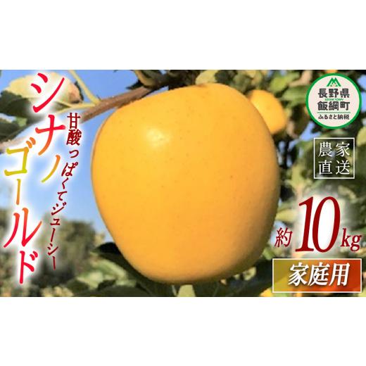 ふるさと納税 長野県 飯綱町 りんご シナノゴールド 家庭用 10kg ファームトヤ 沖縄県への配送不可 2023年11月中旬頃から2023年12月下旬頃まで順次発送予定 令…