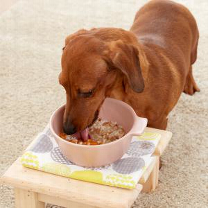 Peppy ペピイ わんのはな レトルトおじや 国産豚とにんじんのホロホロ煮 介護食 犬用 通販 Lineポイント最大7 0 Get Lineショッピング