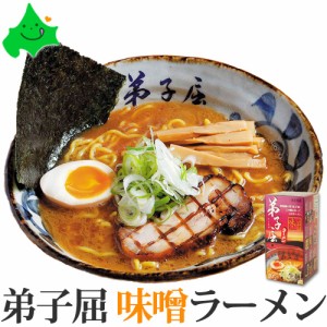 弟子屈（てしかが） 味噌 ラーメン  2食入 北海道 有名店 みそ お試し ご当地 生ラーメン 常温 さがみ屋 ポスト投函