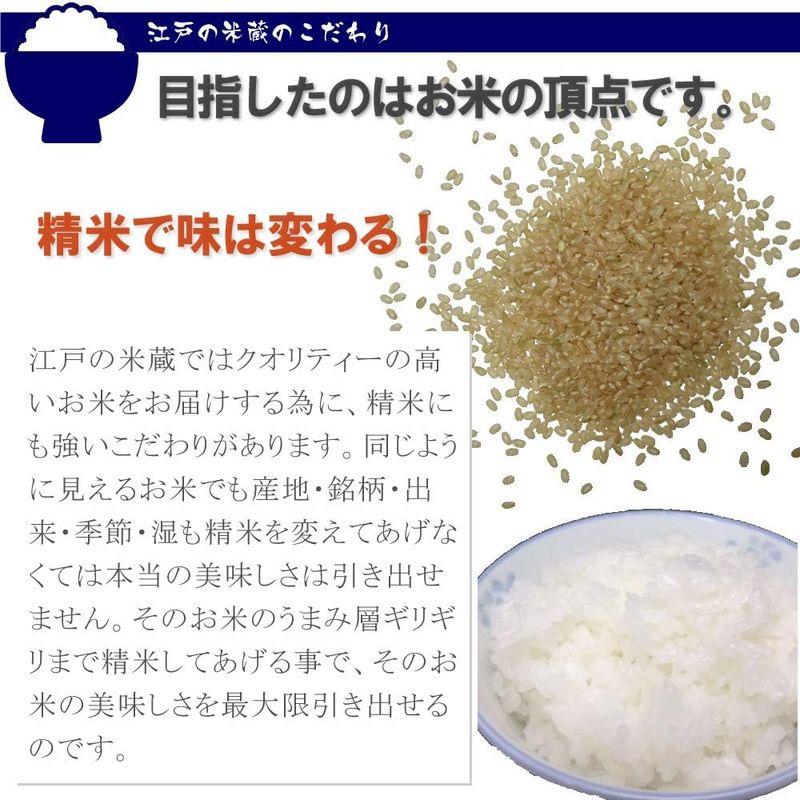 精米新米 令和4年産 一等米 富山産コシヒカリ 特別栽培米 自然乾燥米 5kg×2袋 (10kg) 白米