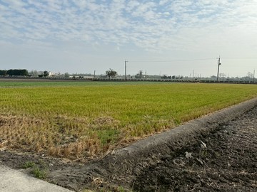 獨家-彰化大城臨路農地｜彰化縣大城鄉城潭段