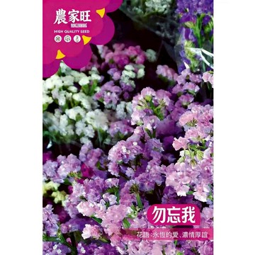【原廠包裝】勿忘我種子(Forget-me-not)1.5克裝  乾燥花DIY首選 開花不斷 四季可種 陽台盆栽易種