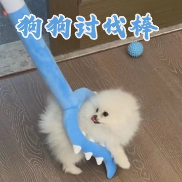 🔥臺灣出貨🔥小狗狗毛絨玩具討伐棒插狗棒耐咬比熊泰迪逗狗棒寵物消耗體力解悶