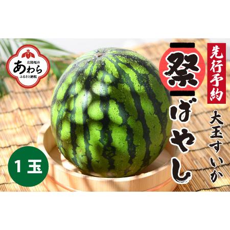 ふるさと納税 大玉すいか『祭ばやし』 1玉（7〜8kg）スイカが持つ食味を最大限まで極めた大きめ品種！ ／ 果物 フルーツ 西瓜 ス.. 福井県あわら市