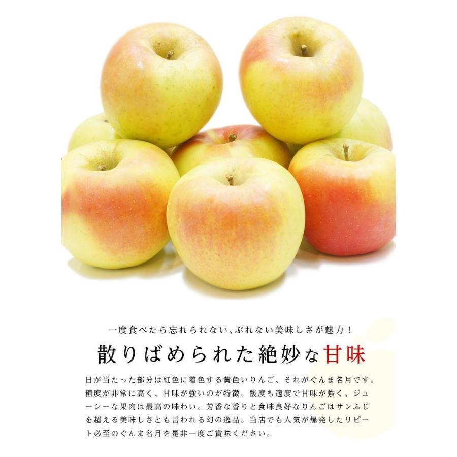 送料無料 青森県産 りんご ぐんま名月 9-11玉 約3kg りんご ぐんま名月 3kg りんご 青森 りんご 3kg 送料無料 群馬名月 ギフト 贈答 フルーツギフト