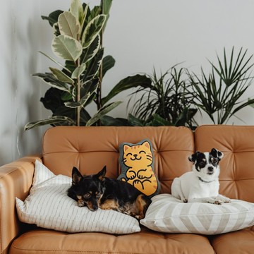 抱抱神明抱枕 | 赤兔 | 港神港地 | 香港神明