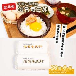 ふるさと納税 定期便 平飼い有精卵 滋賀竜王卵 20個×6ヵ月 滋賀県竜王町