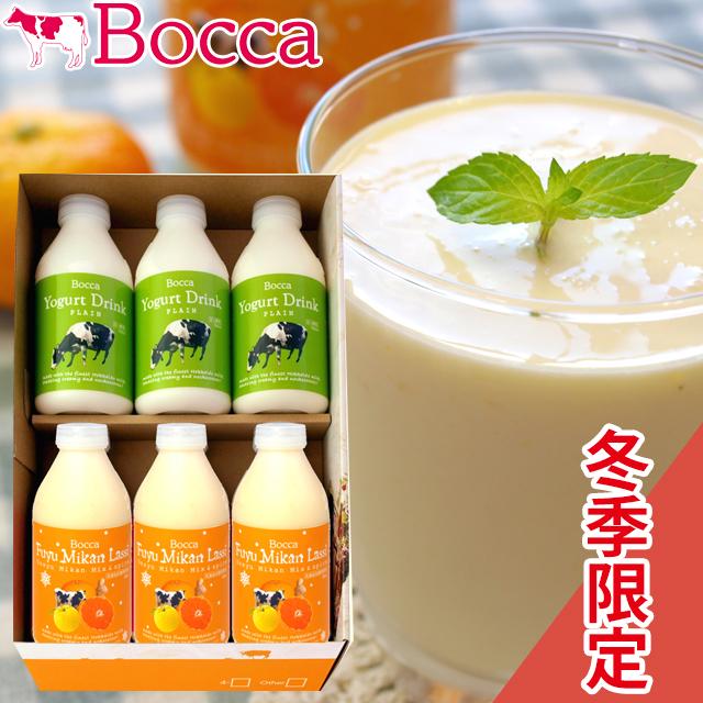 スイーツ BOCCA   牧家 飲むヨーグルト＆冬みかんラッシーセット（3）（冬季限定）   北北海道 直送 スイーツ 牧歌