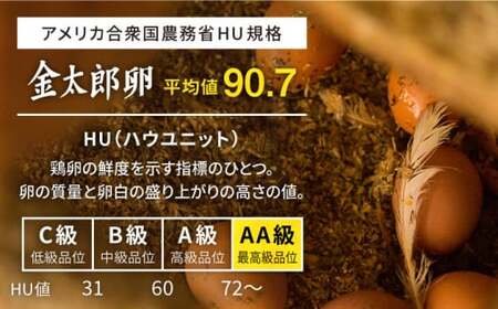 金太郎卵 平飼い たまご 30個（6個×5パック）＜有限会社 フジノ香花園＞那珂川市 卵  たまご 平飼い 卵かけご飯[GAM006]