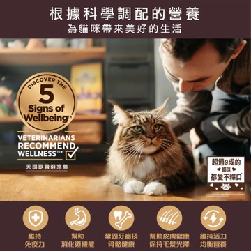 【寵物健康 WELLNESS】三入組 SS名廚特選主食貓罐 2.8oz 貓罐頭 貓主食罐