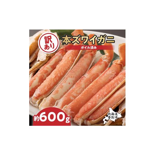 ふるさと納税 北海道 登別市 訳あり 冷凍 ボイル ずわいがに 足 600g ズワイガニ ハーフポーション