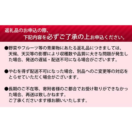 ふるさと納税 2024年夏出荷 優品 北海道月形町産ダイナマイトスイカ 1玉 5.5kg以上 北海道月形町