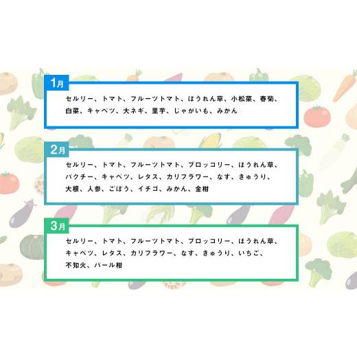 ふるさと納税 福岡県 みやま市 E16  季節の 旬野菜 ・ 果物 セット 詰め合わせ