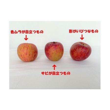 ふるさと納税 りんご「サンふじ」28〜40玉（約10kg） 青森県三戸町