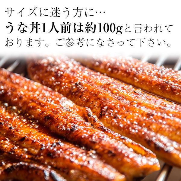 お歳暮 御歳暮 ギフト うなぎ 蒲焼き 国産 特大うなぎ5尾 ウナギ 鰻 蒲焼 送料無料