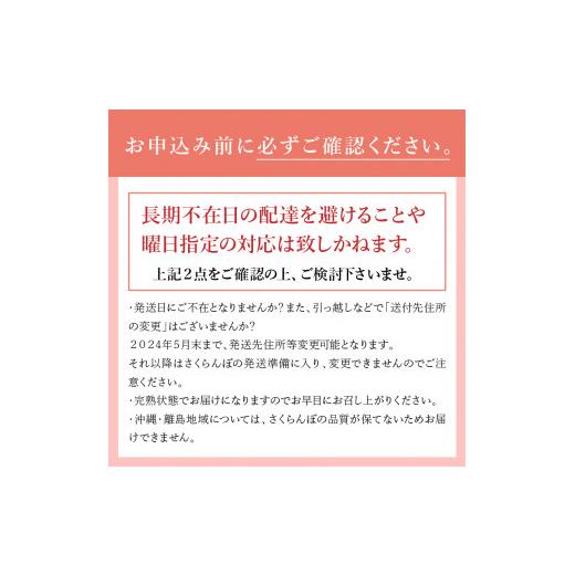 ふるさと納税 山梨県 北杜市 完熟大玉・さくらんぼ（L〜2Lバラ 約350ｇ）