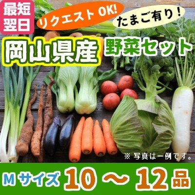 野菜セットMサイズ