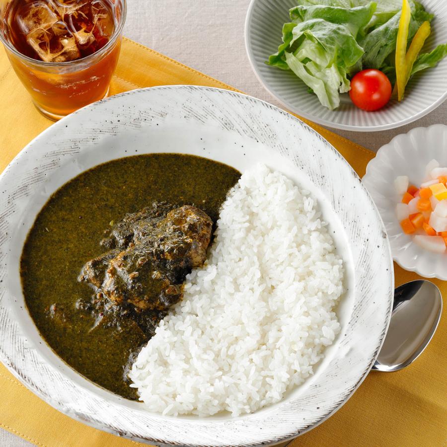 [2袋セット]昼飯屋 身体にやさしい 海苔カレー（チキン入り）220g 送料無料