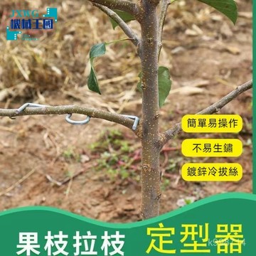 🌈臺灣出貨🌈【店鋪新品】m型別枝器 果樹壓枝神器 背上枝側枝拉枝定型器 園林花卉新款拉枝器 花卉拉枝神器 樹枝定型器
