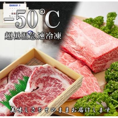 ふるさと納税 淡路市 ロースステーキ焼肉セット1kg